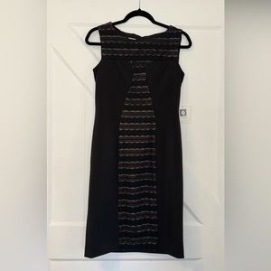 NWT Anne Klein Black Nude Lace Overlay Lined Sleeveless Dress 6